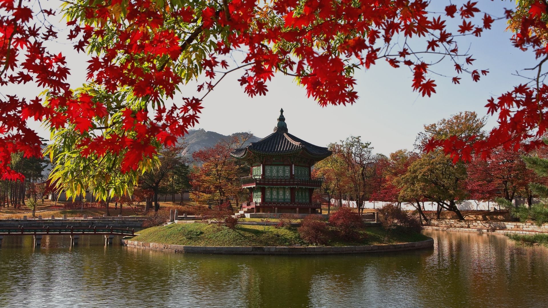 Seoul beauty guide: skincare, quartieri iconici e tappe da sogno