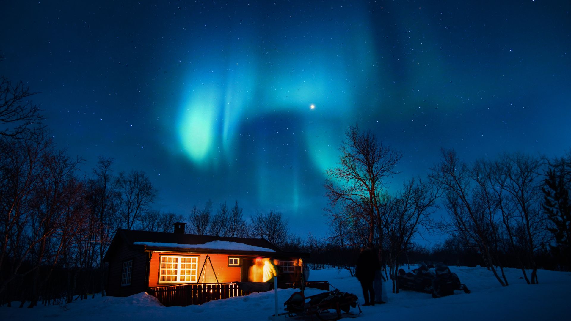 Lapponia aurora