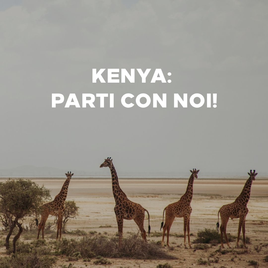 DreamPacker, sogni da viaggiare insieme